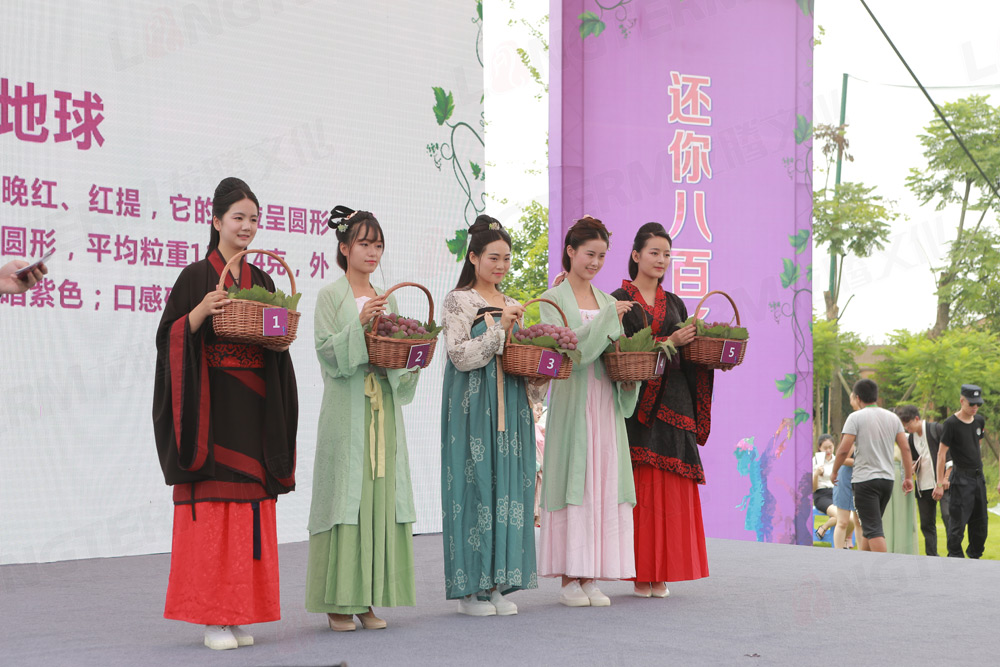 彭山葡萄節(jié)活動策劃_葡萄節(jié)活動_城市節(jié)日活動策劃_地方特色活動策劃 彭山葡萄節(jié)活動策劃_葡萄節(jié)活動_城市節(jié)日活動策劃_地方特色活動策劃