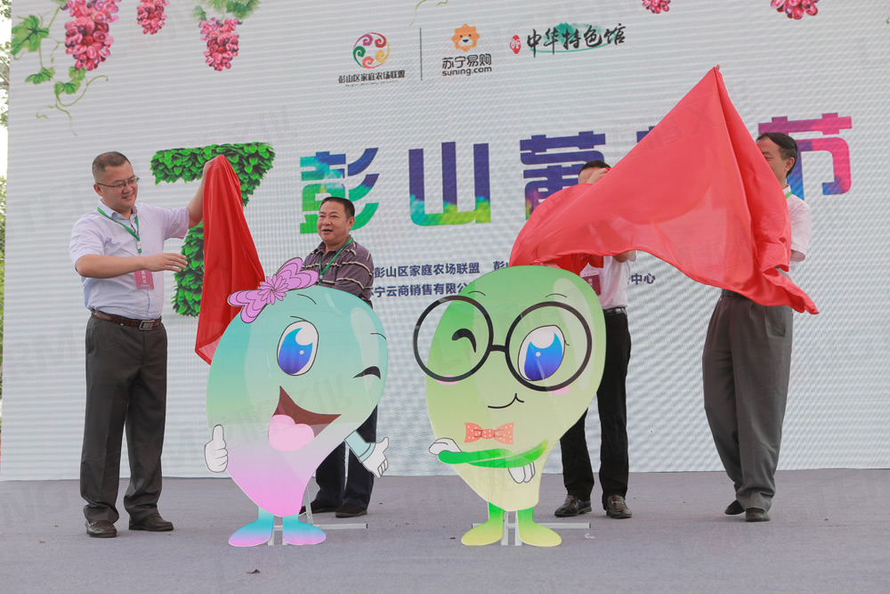 彭山葡萄節(jié)活動策劃_葡萄節(jié)活動_城市節(jié)日活動策劃_地方特色活動策劃 彭山葡萄節(jié)活動策劃_葡萄節(jié)活動_城市節(jié)日活動策劃_地方特色活動策劃