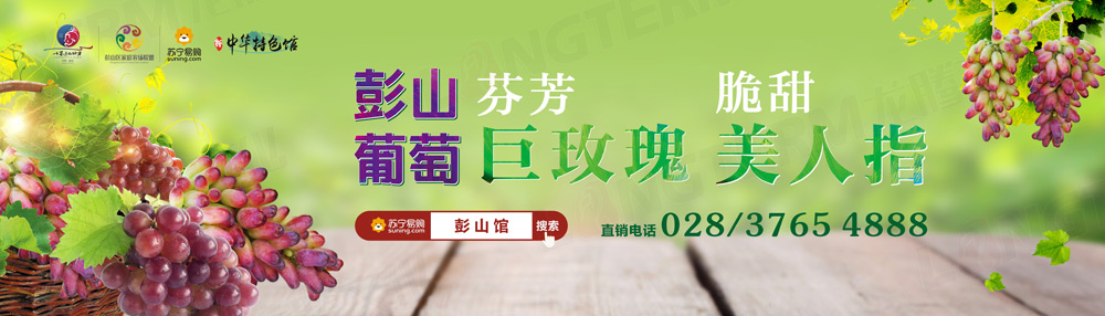 彭山葡萄節(jié)活動策劃_葡萄節(jié)活動_城市節(jié)日活動策劃_地方特色活動策劃 彭山葡萄節(jié)活動策劃_葡萄節(jié)活動_城市節(jié)日活動策劃_地方特色活動策劃