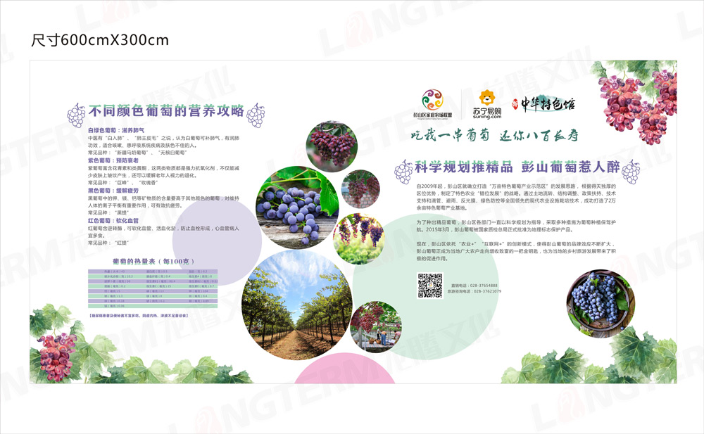 彭山葡萄節(jié)活動策劃_葡萄節(jié)活動_城市節(jié)日活動策劃_地方特色活動策劃 彭山葡萄節(jié)活動策劃_葡萄節(jié)活動_城市節(jié)日活動策劃_地方特色活動策劃